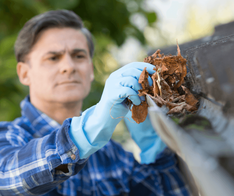 How To Get Your Roof Ready For Spring
