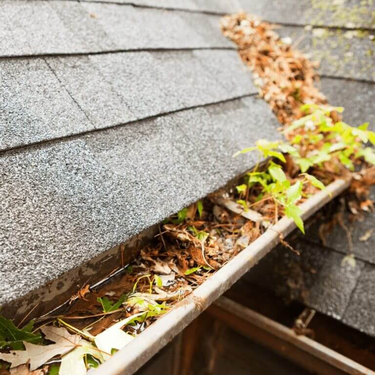 How To Prevent Clogged Gutters
