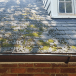 How to Remove Moss From Your Roof