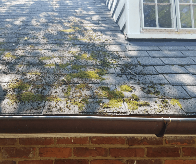 How to Remove Moss From Your Roof