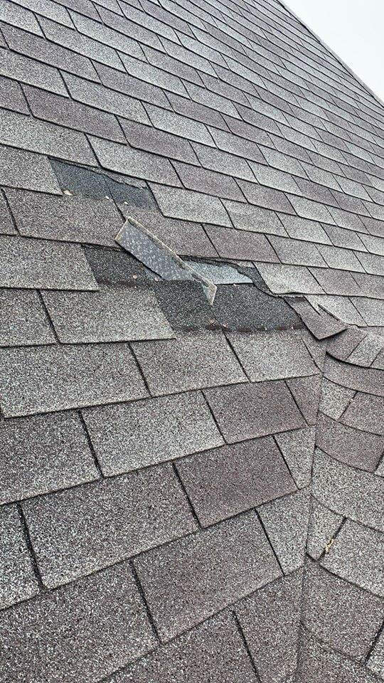 What To Do If You Have a Shingle Blow Off