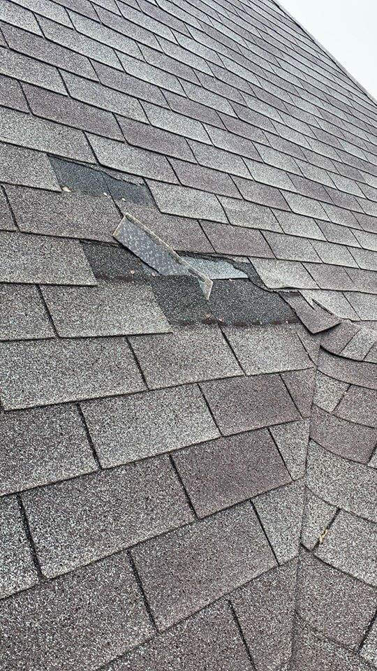 What To Do If You Have a Shingle Blow Off