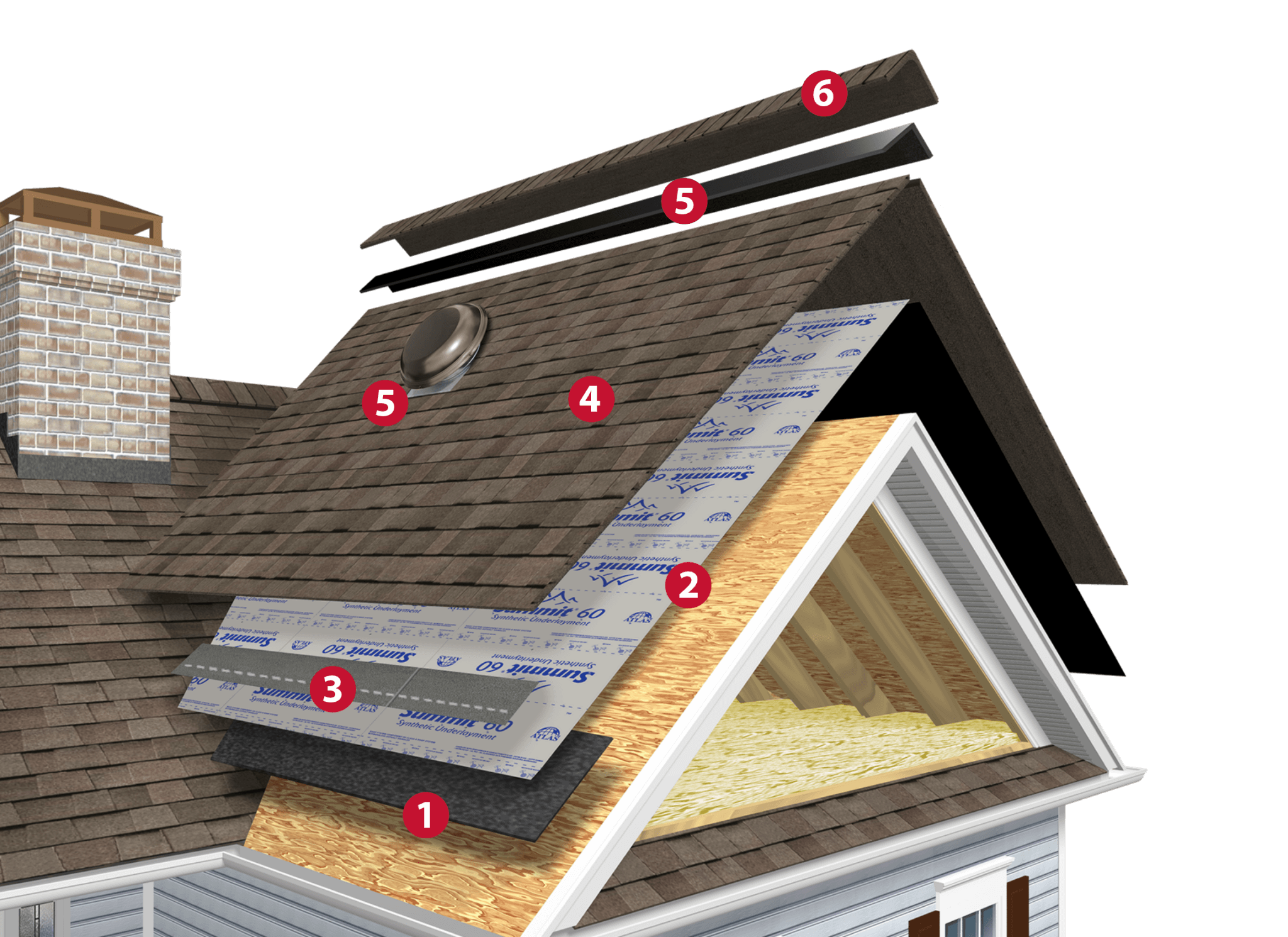 What Are The Main Parts Of A Roof Restoration Roofing what-are-the-main-parts-of-plants-how-do-they-help-plants-brainly-in