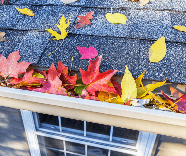 Preparing Your Collierville Roof and Gutters for Fall
