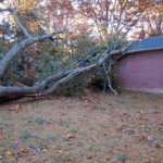 How Do Strong Winds Harm Your Roof?