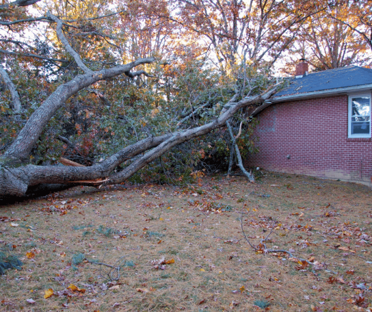 How Do Strong Winds Harm Your Roof?